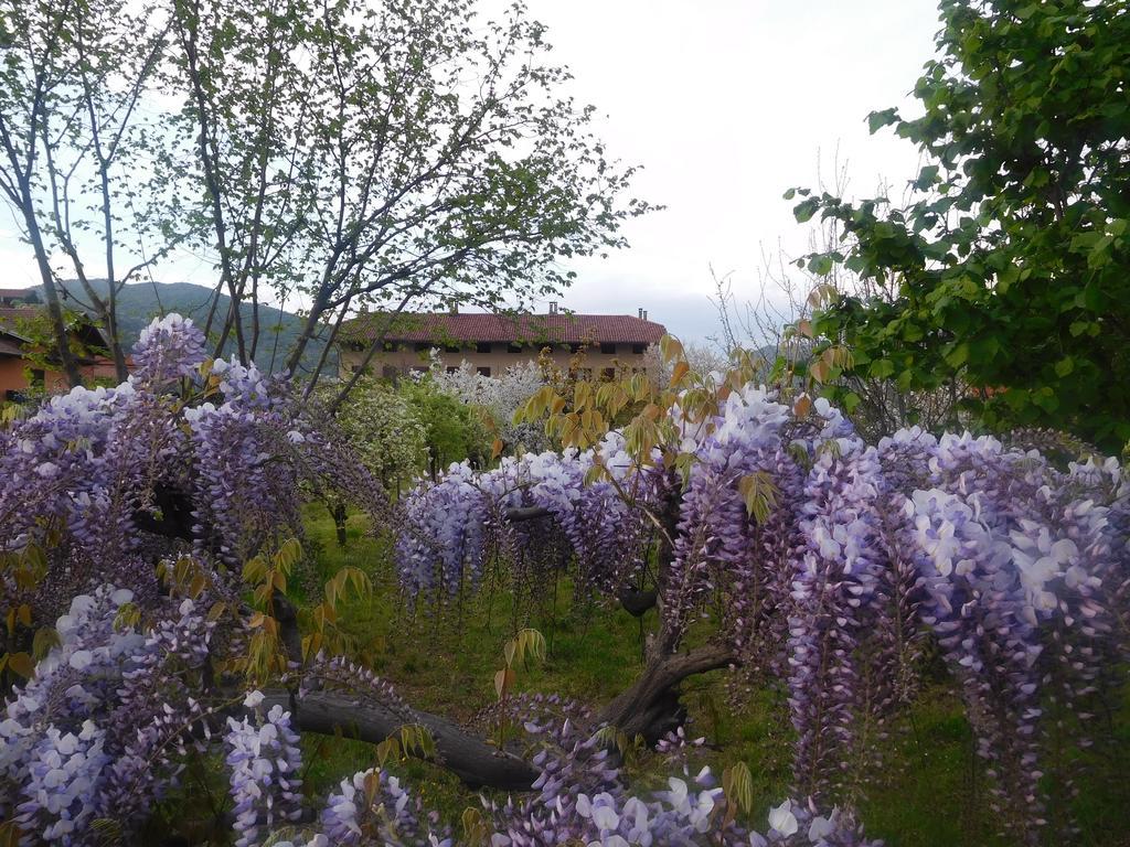 U Tej Bed & Breakfast Cumiana Exterior photo